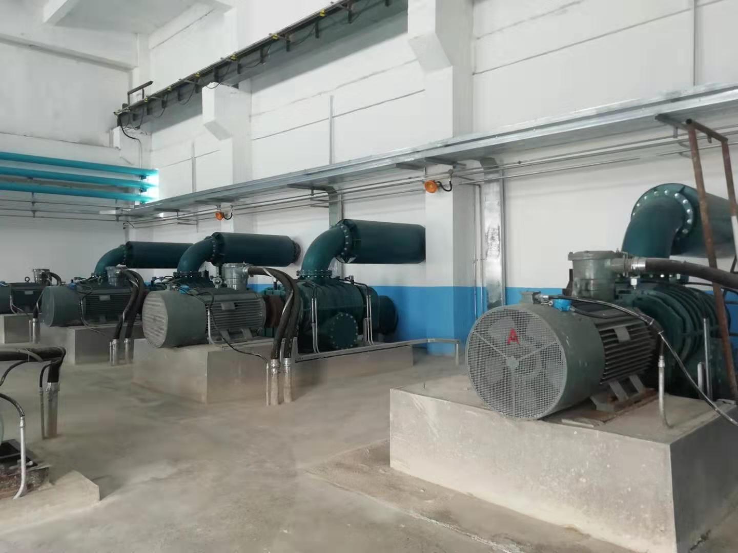 金隅集團(tuán)——豐源羅茨鼓風(fēng)機(jī)